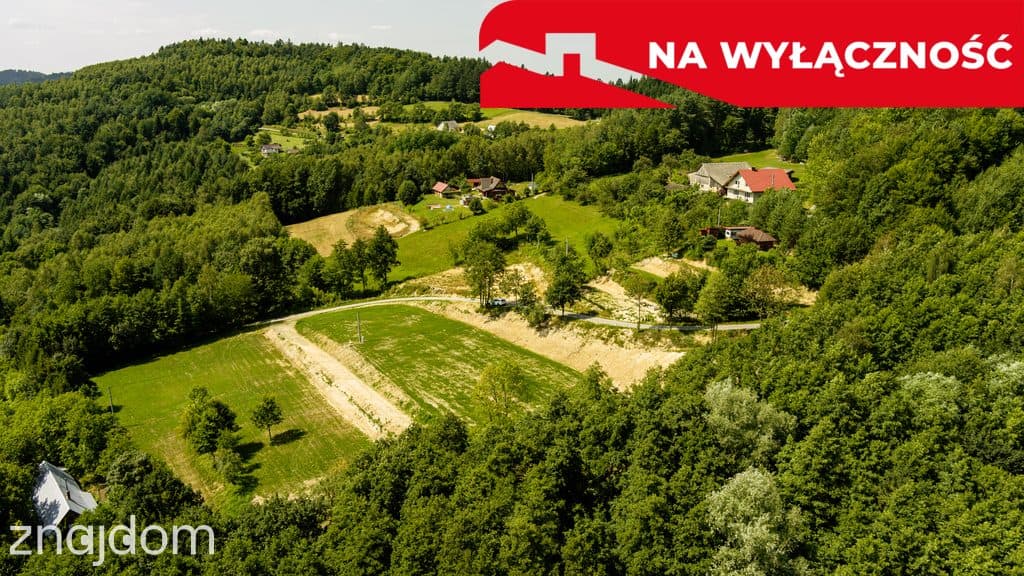 Działka z Wz Olszowa, TANIO ! - zdjęcie 15