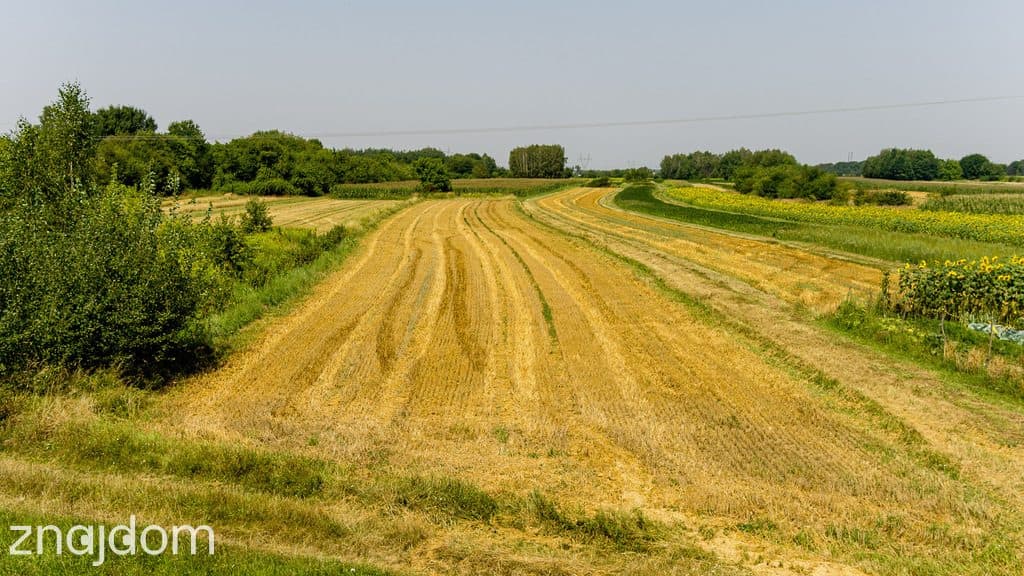 Działka budowlana Tarnów, ul. Cedrowa - zdjęcie 2