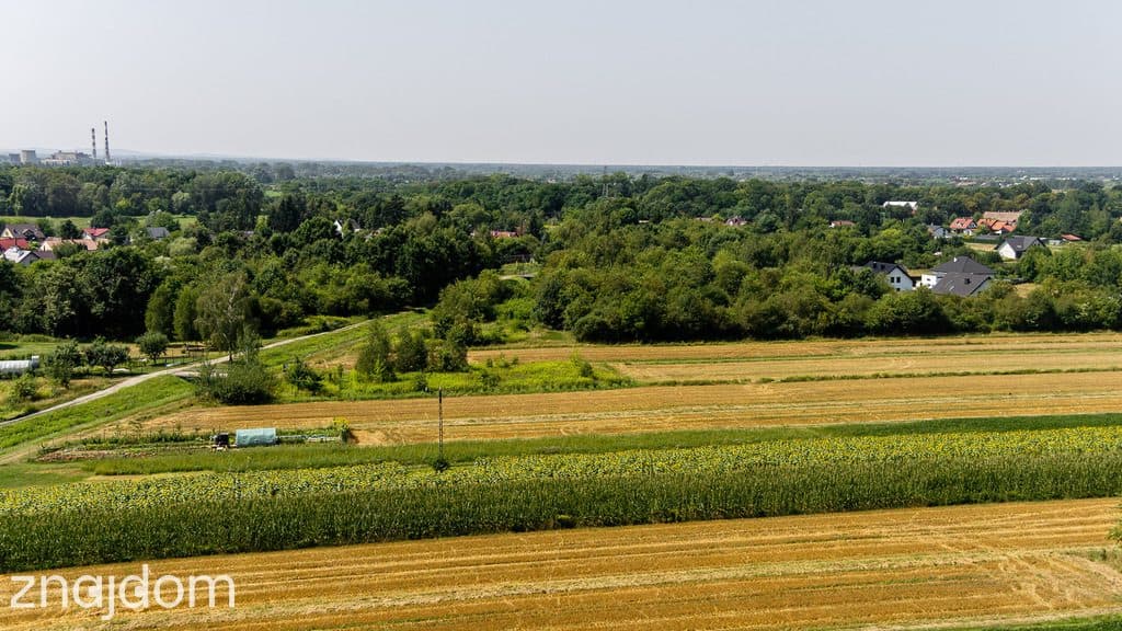 Działka budowlana Tarnów, ul. Cedrowa - zdjęcie 5