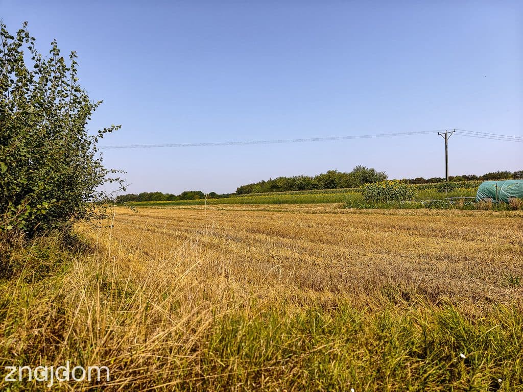 Działka budowlana Tarnów, ul. Cedrowa - zdjęcie 8