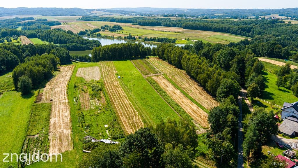 Działka nad zalewem 17 ar w Skrzyszowie 198 000 zł - zdjęcie 17
