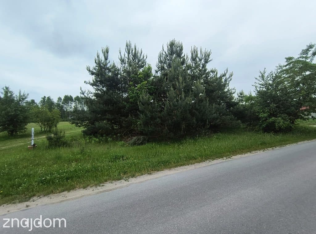 Na sprzedaż działka budowlana - Żdżary (Czarna) - zdjęcie 2