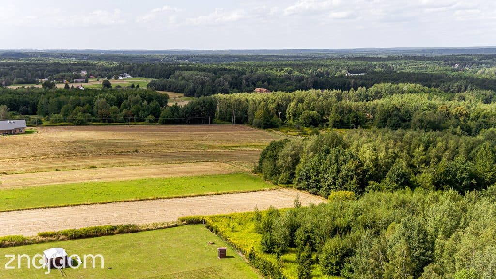 Działka leśna Łęki Dolne - gm. Pilzno ! - zdjęcie 6