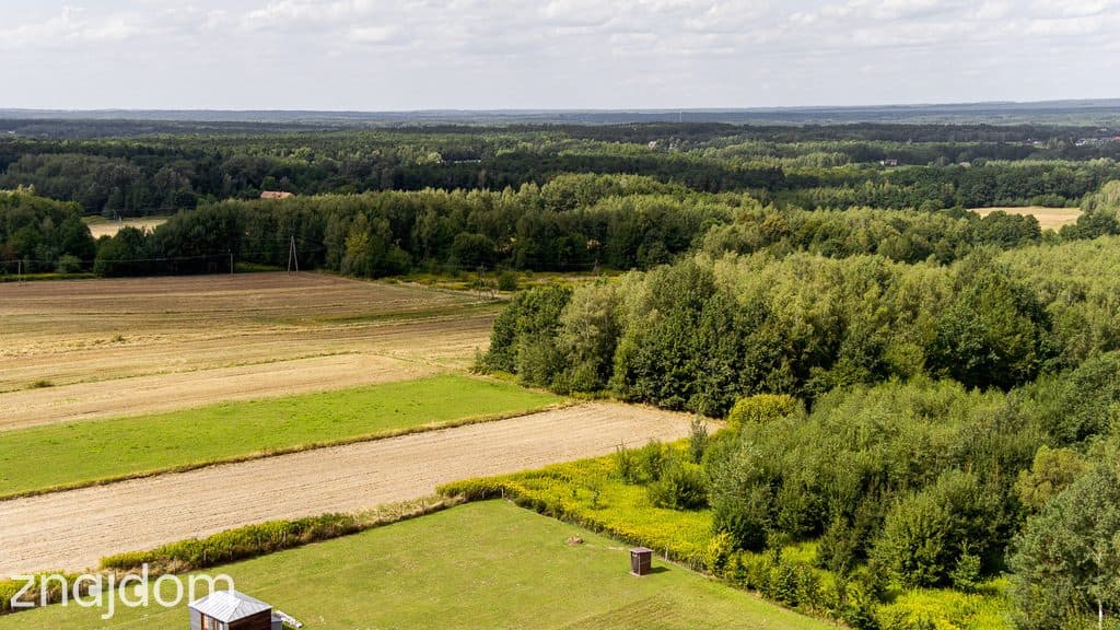 Działka leśna Łęki Dolne - gm. Pilzno ! - zdjęcie 7