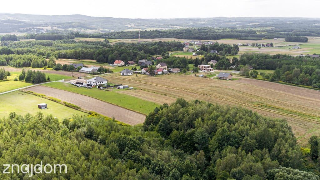 Działka leśna Łęki Dolne - gm. Pilzno ! - zdjęcie 4