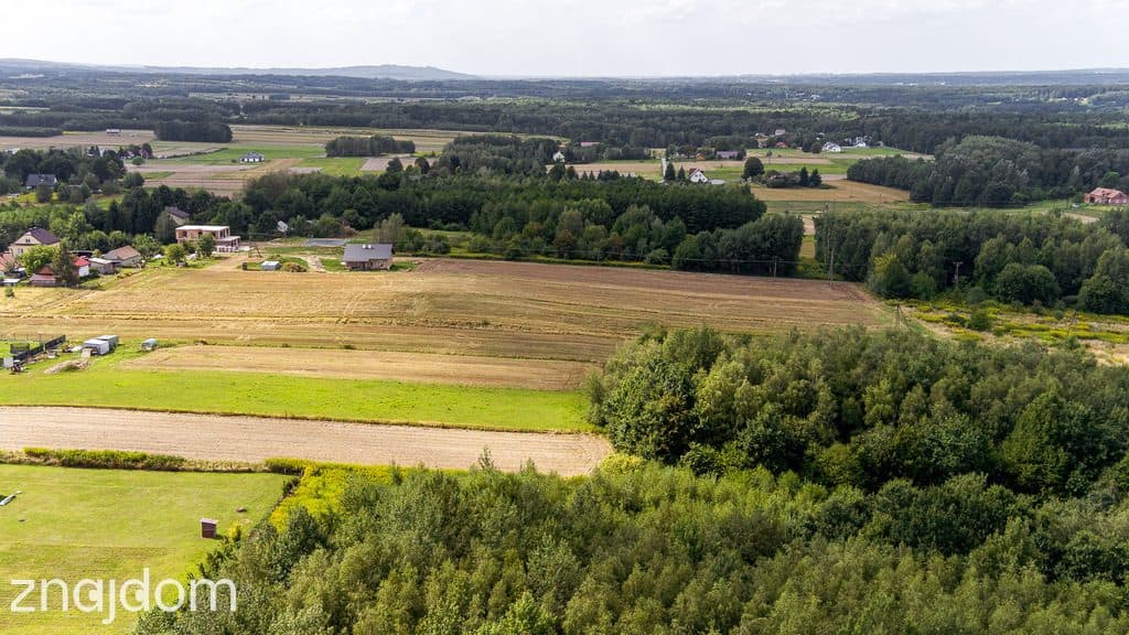 Działka leśna Łęki Dolne - gm. Pilzno ! - zdjęcie 5