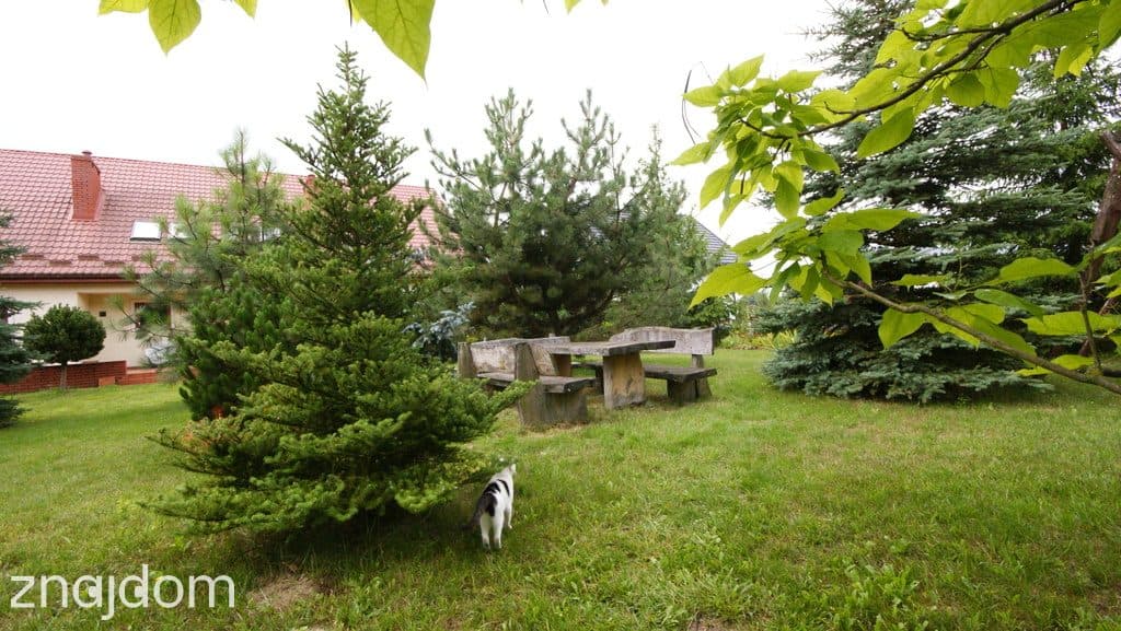 Dom z garażem i pięknym ogrodem – Piotrowice - zdjęcie 18