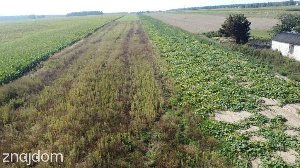 Miłków Kolonia. Piękna działka budowlana! - zdjęcie 5