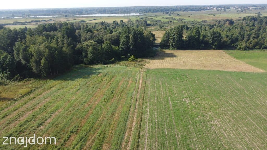 Piękna działka rolno-budowlana, Żminne, Parczew.