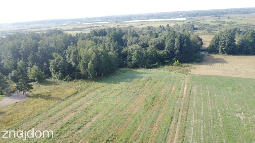 Piękna działka rolno-budowlana, Żminne, Parczew. - zdjęcie 16