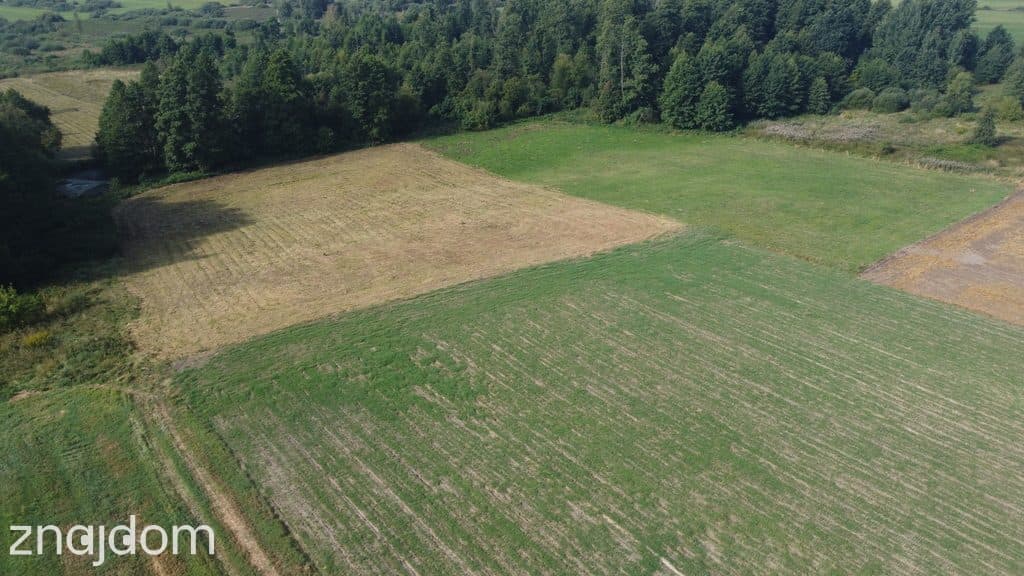 Piękna działka rolno-budowlana, Żminne, Parczew. - zdjęcie 17