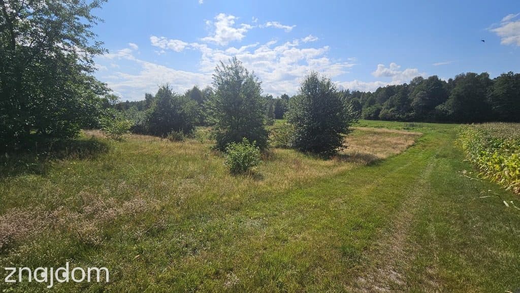 Działka,Luta, Włodawa, 1,5 ha, budowlana, urokliwa - zdjęcie 2