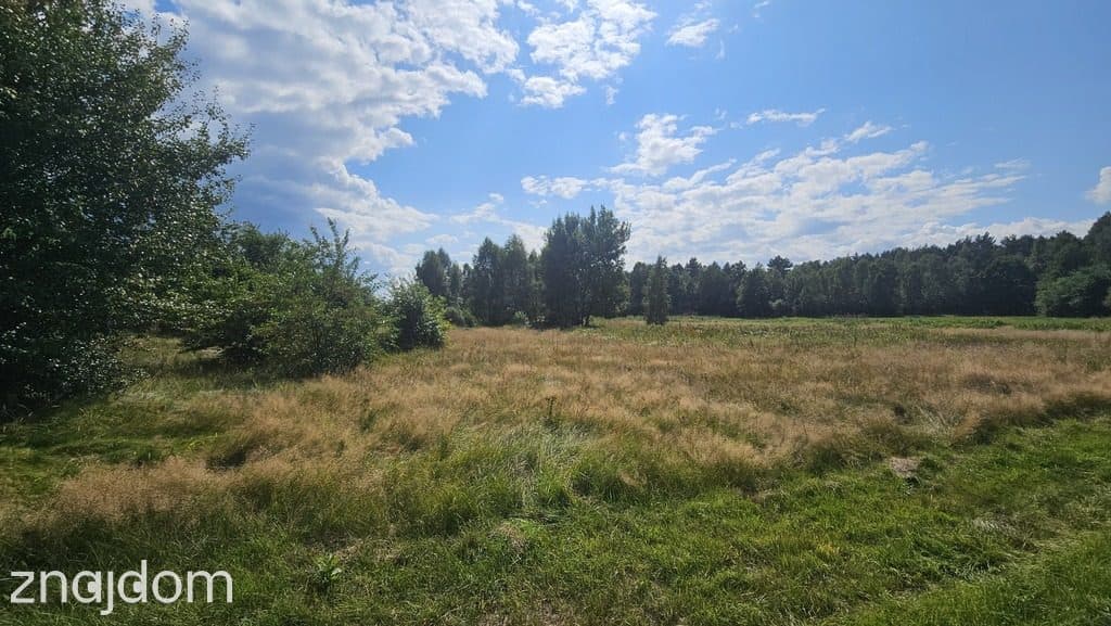 Działka,Luta, Włodawa, 1,5 ha, budowlana, urokliwa - zdjęcie 3