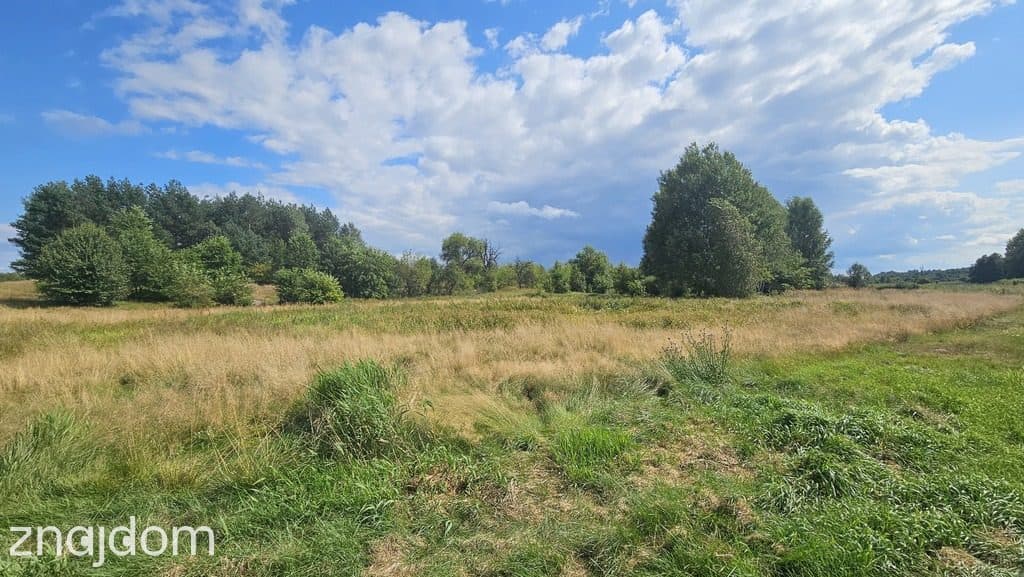 Działka,Luta, Włodawa, 1,5 ha, budowlana, urokliwa - zdjęcie 4