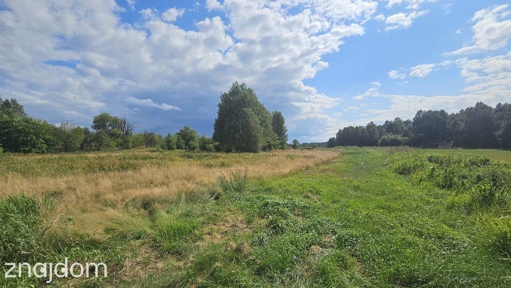 Działka,Luta, Włodawa, 1,5 ha, budowlana, urokliwa - zdjęcie 5