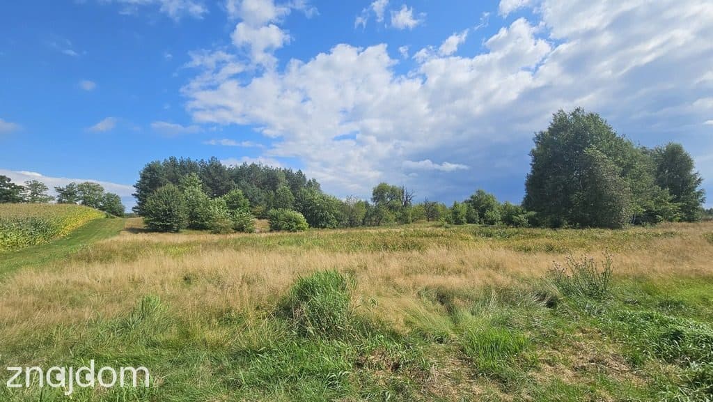 Działka,Luta, Włodawa, 1,5 ha, budowlana, urokliwa - zdjęcie 6