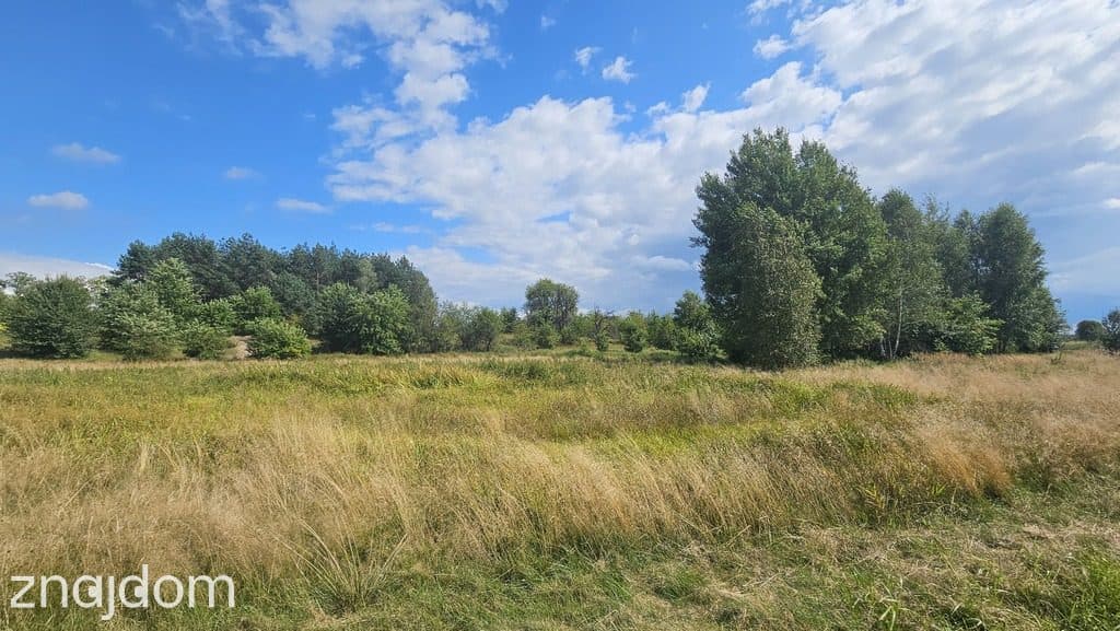 Działka,Luta, Włodawa, 1,5 ha, budowlana, urokliwa - zdjęcie 7