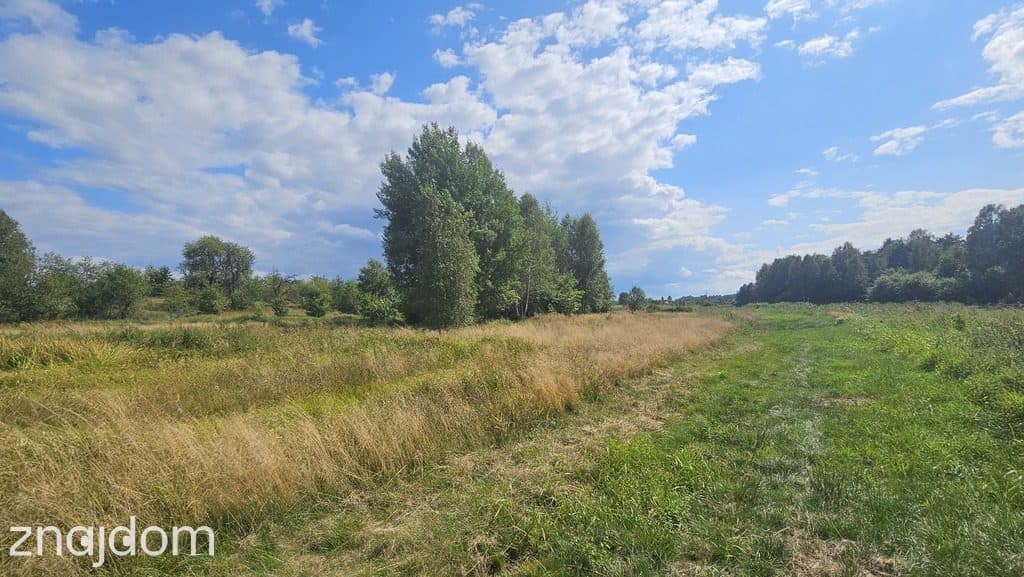 Działka,Luta, Włodawa, 1,5 ha, budowlana, urokliwa - zdjęcie 8