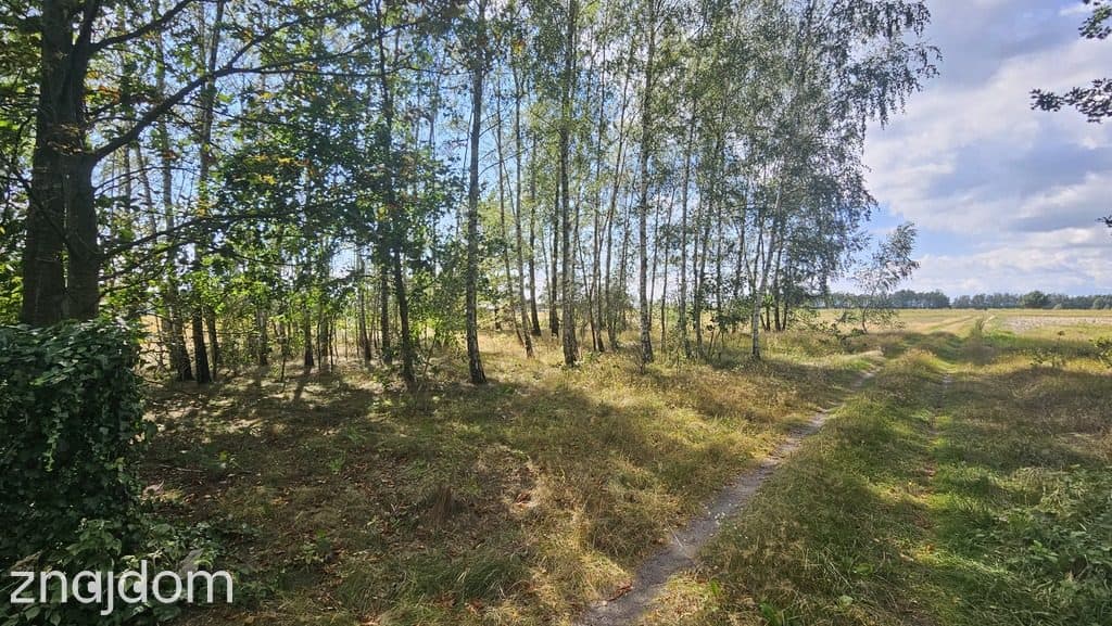 Działka, Wólka Wytycka, 10 ar, budowlana - zdjęcie 3