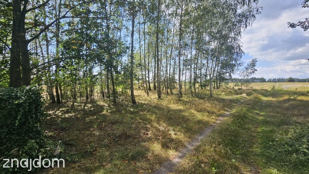 Działka, Wólka Wytycka, 10 ar, budowlana - zdjęcie 4