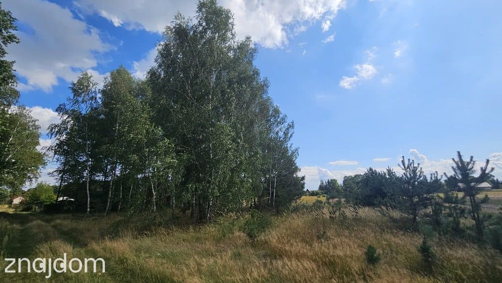 Działka, Wólka Wytycka, 10 ar, budowlana - zdjęcie 6
