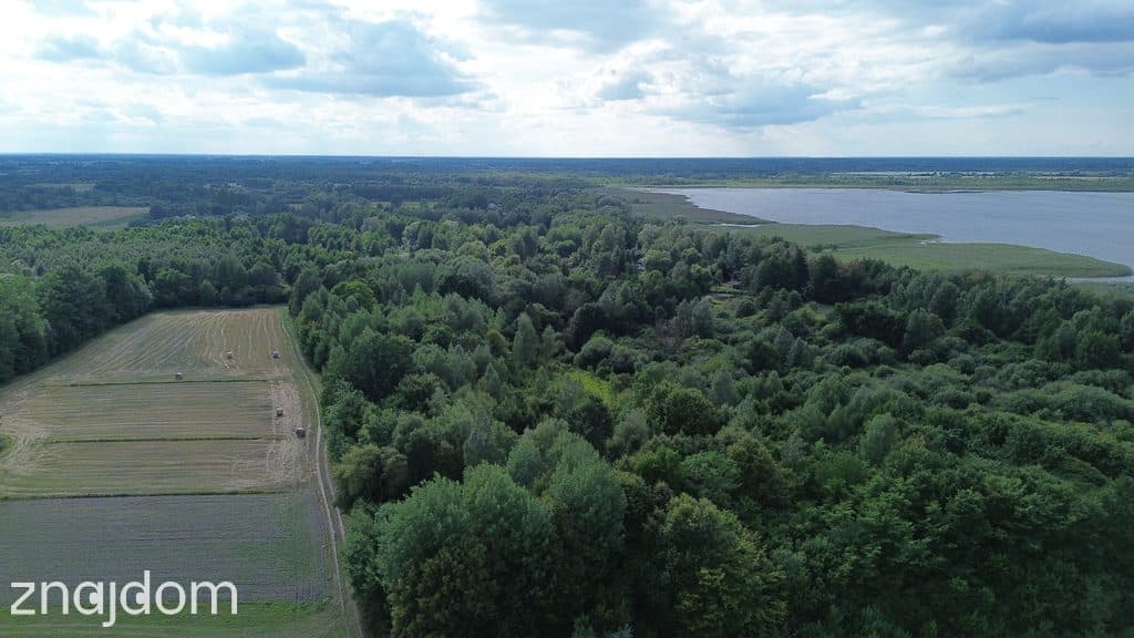 Działka, Wólka Nadrybska, 30 ar, - zdjęcie 4