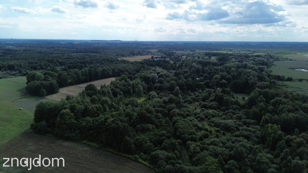 Działka, Wólka Nadrybska, 30 ar, - zdjęcie 5