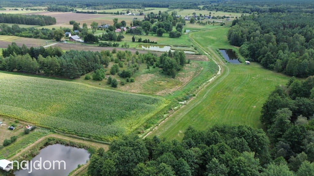 Działka,Luta, Włodawa, 1,5 ha, budowlana, urokliwa - zdjęcie 9