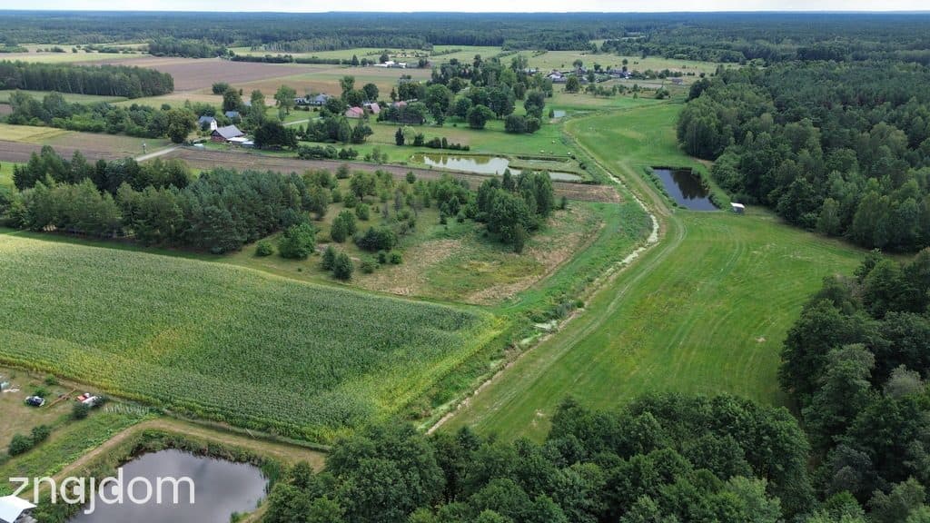 Działka,Luta, Włodawa, 1,5 ha, budowlana, urokliwa - zdjęcie 10