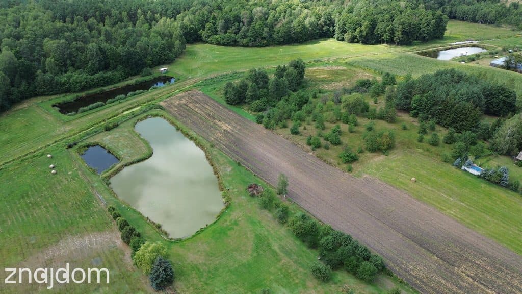 Działka,Luta, Włodawa, 1,5 ha, budowlana, urokliwa - zdjęcie 11
