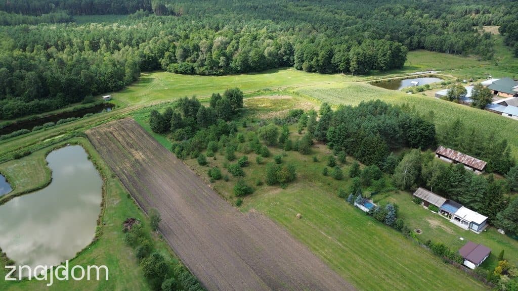 Działka,Luta, Włodawa, 1,5 ha, budowlana, urokliwa - zdjęcie 12
