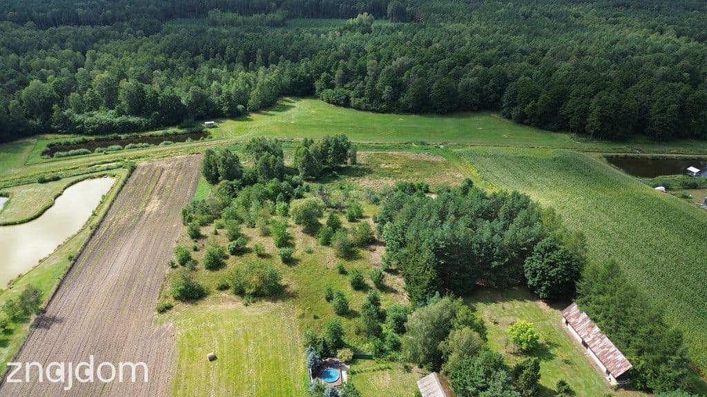 Działka,Luta, Włodawa, 1,5 ha, budowlana, urokliwa - zdjęcie 13