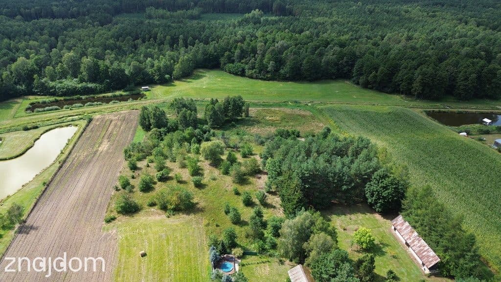 Działka,Luta, Włodawa, 1,5 ha, budowlana, urokliwa - zdjęcie 14