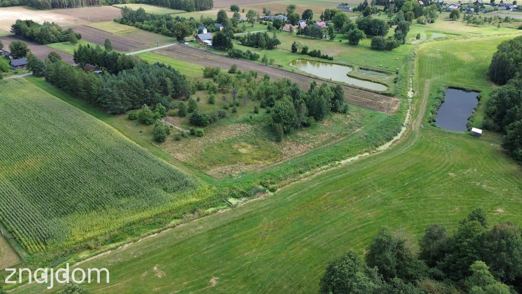Działka,Luta, Włodawa, 1,5 ha, budowlana, urokliwa - zdjęcie 15