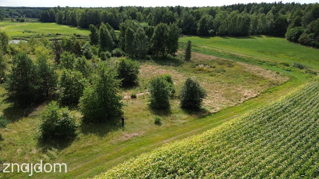 Działka,Luta, Włodawa, 1,5 ha, budowlana, urokliwa - zdjęcie 17
