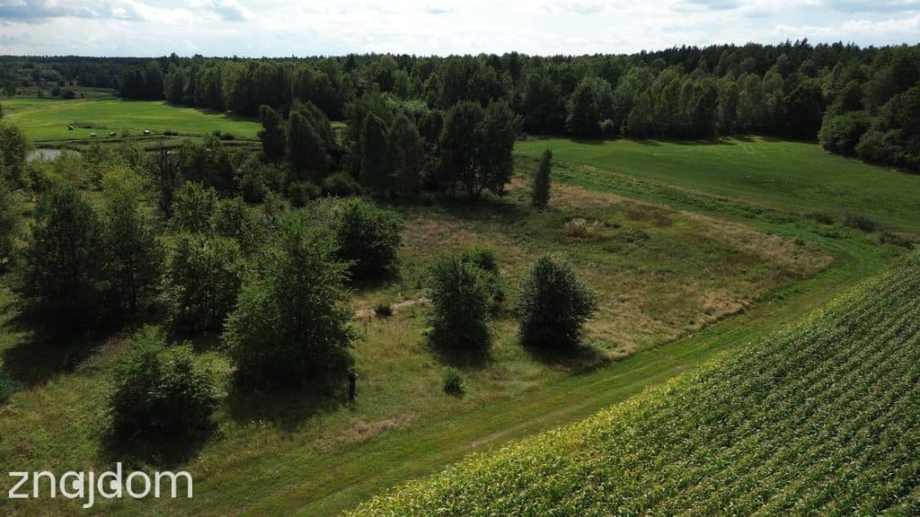 Działka,Luta, Włodawa, 1,5 ha, budowlana, urokliwa - zdjęcie 18