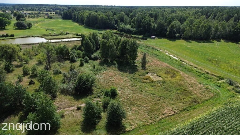 Działka,Luta, Włodawa, 1,5 ha, budowlana, urokliwa - zdjęcie 20