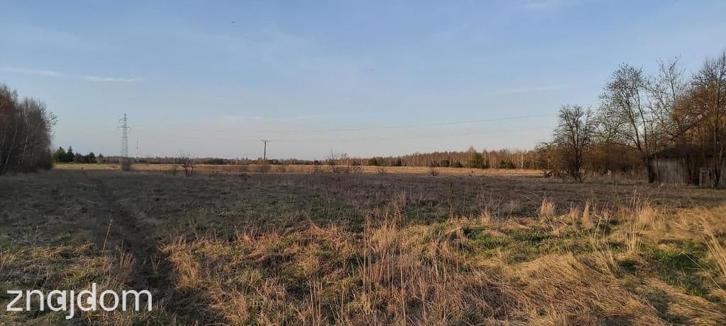 Siedlisko - spokojna wieś w przepięknej okolicy! - zdjęcie 8