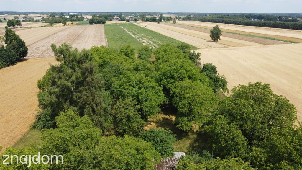 Działka 1,13 ha (starodrzew) 1,5 godz. od Warszawy - zdjęcie 13