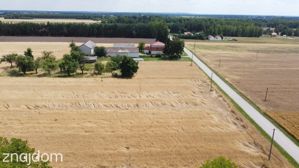 Działka 1,13 ha (starodrzew) 1,5 godz. od Warszawy - zdjęcie 14