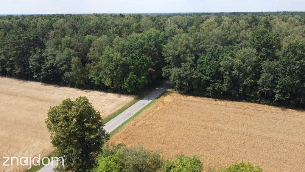 Działka 1,13 ha (starodrzew) 1,5 godz. od Warszawy - zdjęcie 15