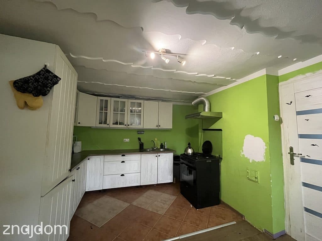Dom 115 m2, działka 3,75 ha  Patków gm. Policzna. - zdjęcie 8