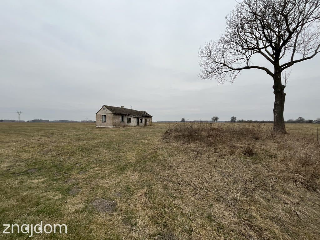 Działka 6462 z widokiem na muzeum w Czarnolesie - zdjęcie 5