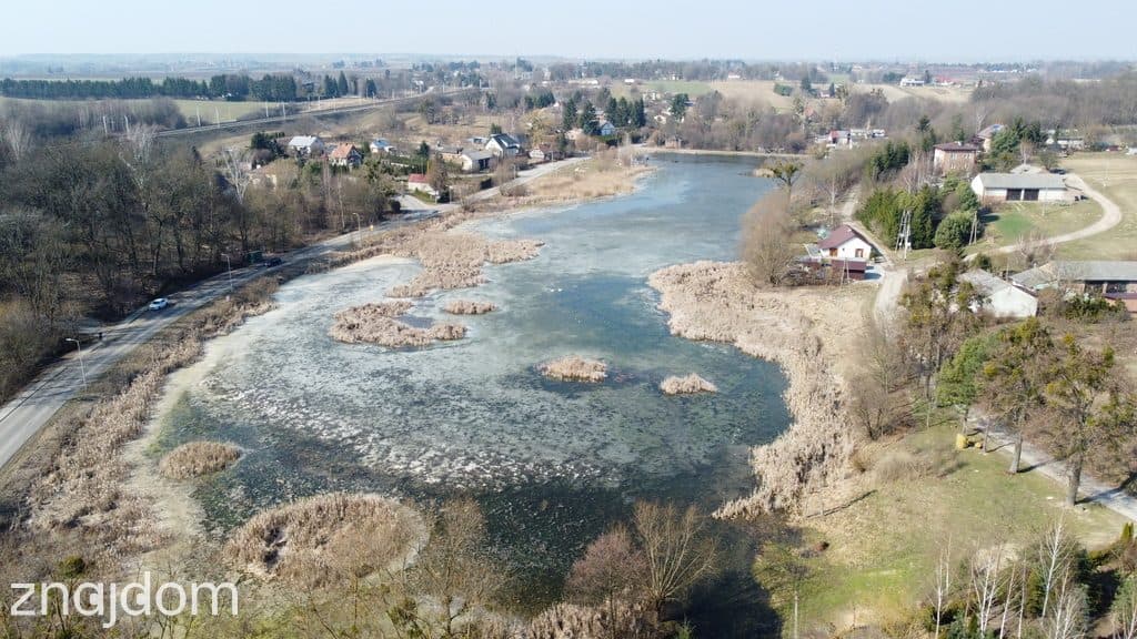 Działka o pow. 4,6 ha w Klementowicach gm. Kurów. - zdjęcie 3