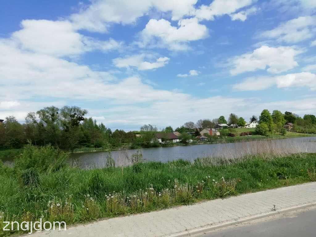Działka o pow. 4,6 ha w Klementowicach gm. Kurów. - zdjęcie 4