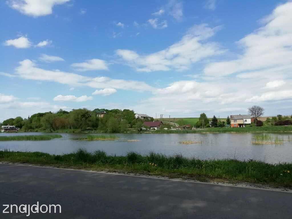 Działka o pow. 4,6 ha w Klementowicach gm. Kurów. - zdjęcie 5