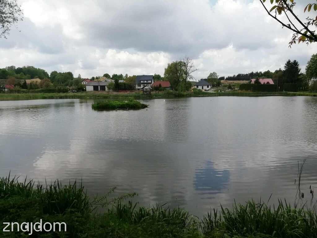 Działka o pow. 4,6 ha w Klementowicach gm. Kurów. - zdjęcie 8