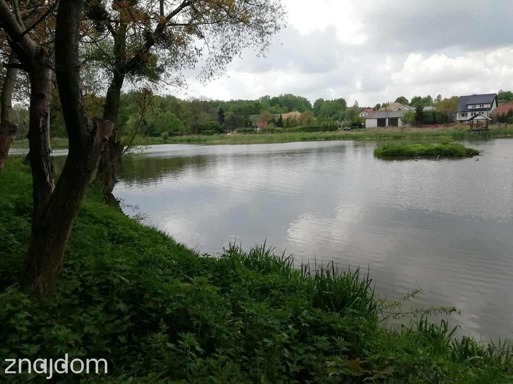 Działka o pow. 4,6 ha w Klementowicach gm. Kurów. - zdjęcie 9