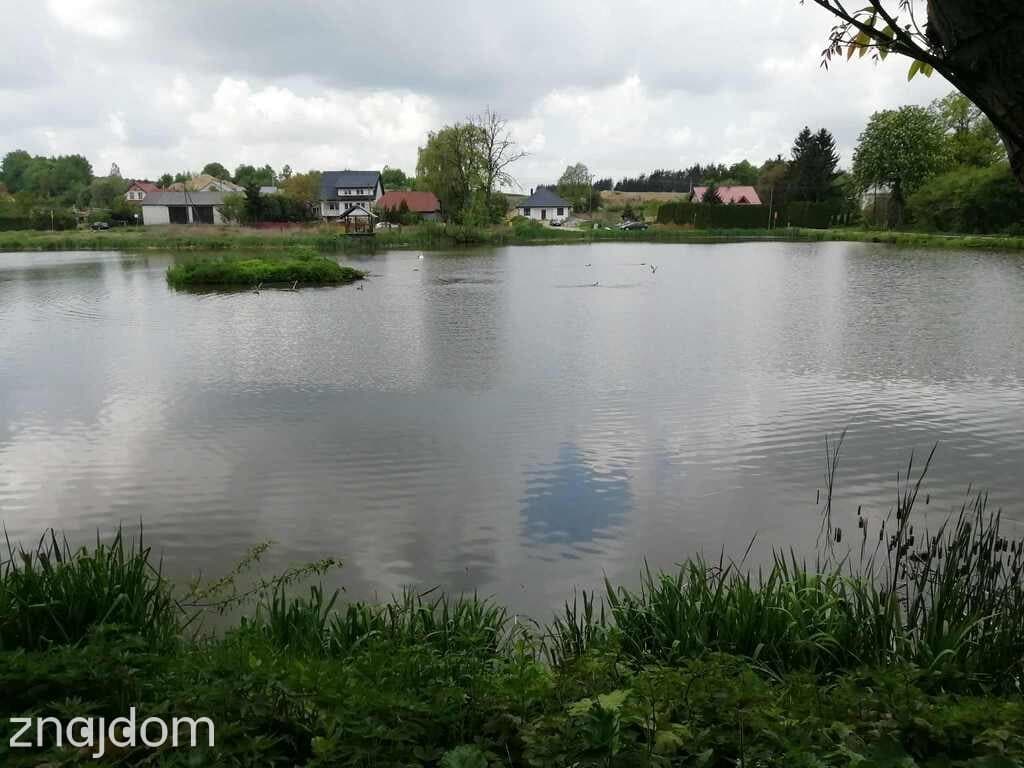 Działka o pow. 4,6 ha w Klementowicach gm. Kurów. - zdjęcie 10