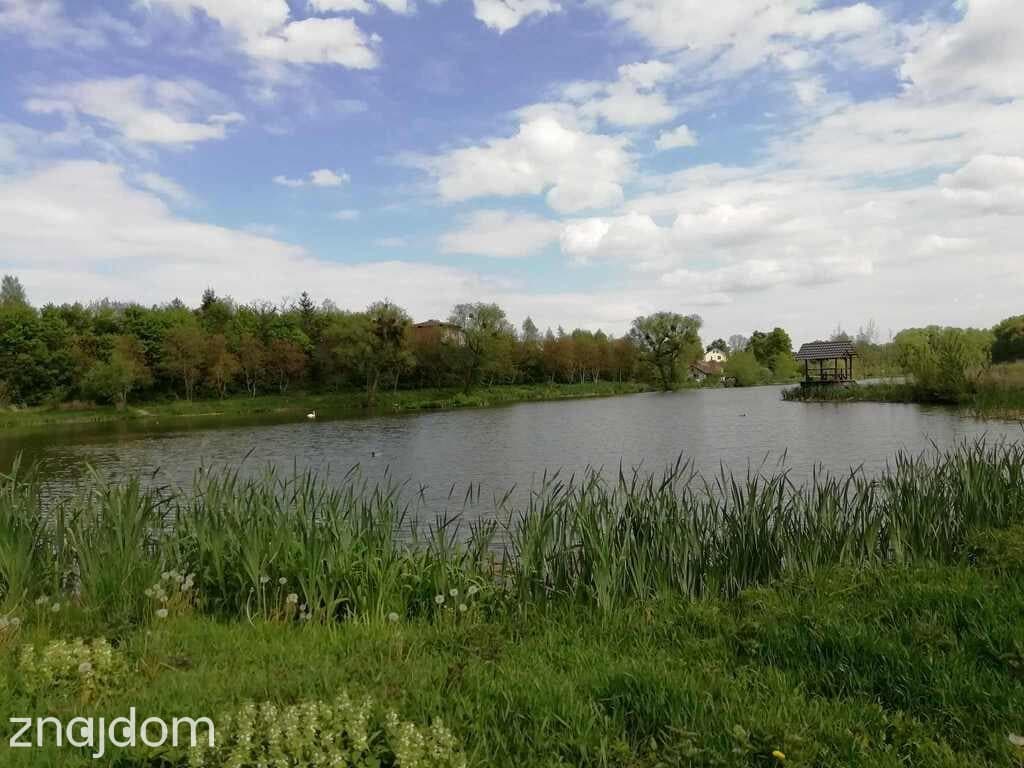 Działka o pow. 4,6 ha w Klementowicach gm. Kurów. - zdjęcie 11